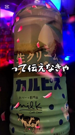 生クリームチーズケーキカルピス初めて見た👀#アサヒ飲料 #生クリームチーズケーキカルピス