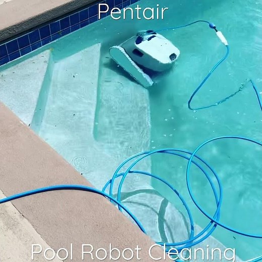 Pool cleaning robot Dolphin Pentair Prowler 920 #poolcleaning