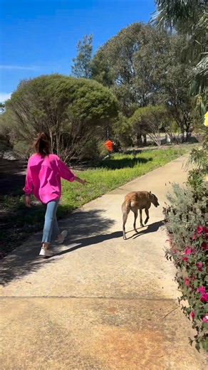 24 reactions | Spring season in here  | Tanyong Thanpitcha | Facebook