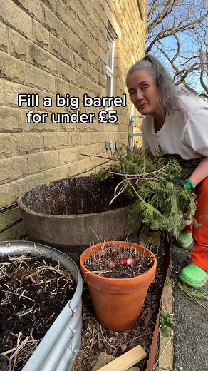 Budget-Friendly Spring Garden DIY Projects
