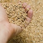 How to Make Bread Flour