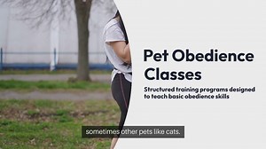Pet Obedience Classes
