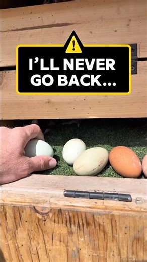 3 reasons I switched to roll-away nesting boxes