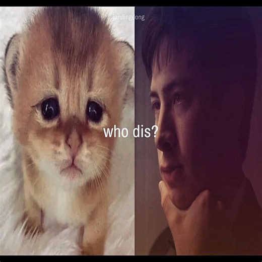 Mastering Style with Nails, Hair, and Heels