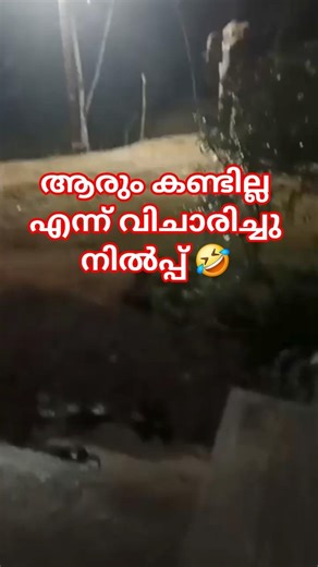 His main occupation is sneaking around at night.