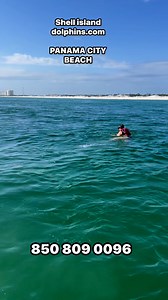 It’s chaos lol but this family had an incredible experience! #attraction #swimmingwithdolphins #excursions #ecotourism #snorkeling #dolphins #PCB #springbreak #SpringBreak2025 #panamacityflorida #panamacitybeach | Shell Island Dolphin Tours LLC