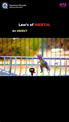 The Invisible Force of Inertia | Newton's laws of motion.