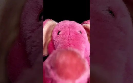 『that little NiK助眠』大象口腔音和舔镜头 [不说话]