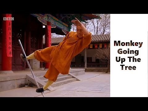 Monkey Going Up The Tree - Kung Fu (Monkey Stick - Gung Fu)