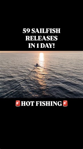 🔥FISHING REPORT Feb 27, 2026 (2 anglers) -SAILFISH- Raises 90 Bites 83 Releases 59 . RED HOT FISHING!!! 🔥 Guatemala delivers once again with EPIC CATCHING! Anglers Cliff and Dave experienced nonstop bites aboard GRINGO, releasing an incredible 59 sailfish, definitely an unforgettable day offshore. #GringoSportfishing #guatemala #GuatemalaFishingCharters #fishing #Sailfish | Guatemala Fishing Charters