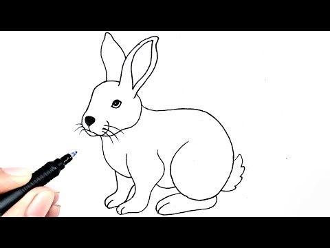 How to draw rabbit drawing for beginning. Easy rabbit drawing. Rabbit drawing easy step by step.