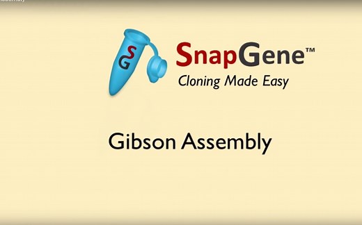 Gibson Assembly