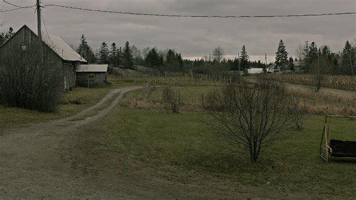 The Dogs (2025) 1080p LATINO