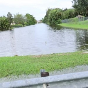 Because of the Massive Flooding in Florida Due To the rain Hundreds of animals have Moved in to The Streets!!🚨 Such as Turtles, salamanders, Bass, bluegill’s a lot of native animals at risk so just stay alert when driving and see if you get guide an animal back to its home!! #savetheplanet #beautiful #animals #help #flood | RAWWFishing