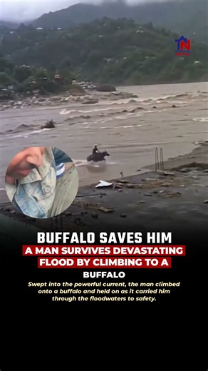 Man Survives Flood After climbing to Buffalo