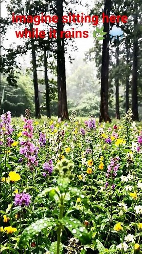 Beautiful Flower Garden in Rain 🌧️ Relaxing Nature Rainfall | Peaceful 4K Scenery