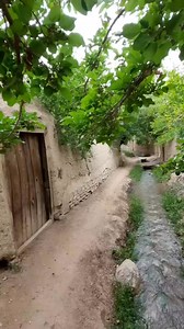 40K views · 2.3K reactions | Da Kali Mahool - Village Home | Pathan | Facebook