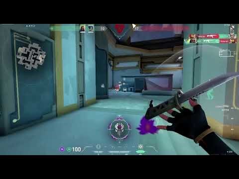 Laugh Noé Cry Later (valorant alegria)