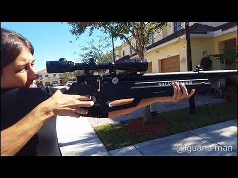 SNIPER GIRL AIR RIFLE HUNTS IGUANAS BUT COPS CALLED!!!!!!!!!