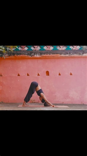 Jñāna on Instagram: "The Ashtanga Primary Series was originally taught as Yoga Chikitsā, which refers to treatment or therapy. In this context, the Primary Series functions as a structured intervention for the body–mind system. Through a fixed sequence, regulated breath, and repetitive vinyāsa, the practice is designed to support circulation, digestion, musculoskeletal balance, and nervous system regulation. From a physiological perspective, the steady pacing and breath-led movement promote para