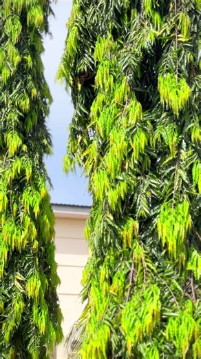 Is He Really a Doctor? Funny Dance Video ft. Dr. Danny Best