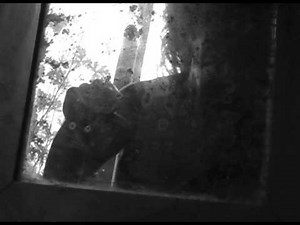 Complicated Game - XTC