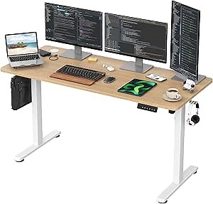 Electric Standing Desk with Memory Preset Sit Stand up Desk Adjustable Height Desk Home Office Computer Workstation