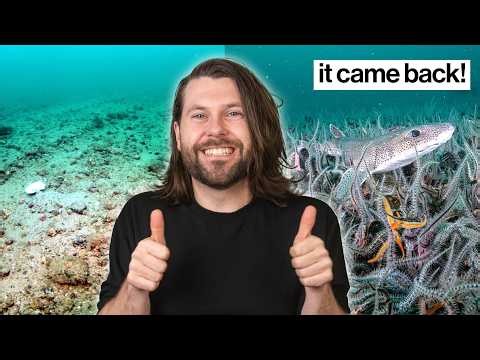 Good News in June (you might have missed)