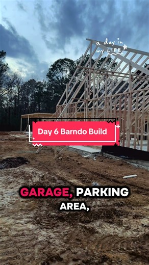 Fully Framed Barndo Build Update - Day 6 Progress