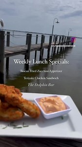 18 reactions | Make sure to include lunch at The Dolphin Bar in your weekend plans! Enjoy our all day, Tuscan Fried Zucchini Appetizer and our Teriyaki Chicken Sandwich ☀️ We can’t wait to serve you and your families this weekend here at The Dolphin Bar! #thedolphinbar | Dolphin Bar | Facebook