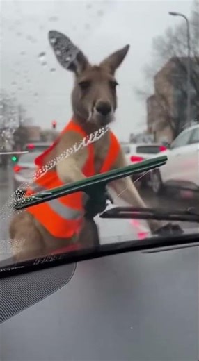 Satisfying Paper Cutting Art ✂️