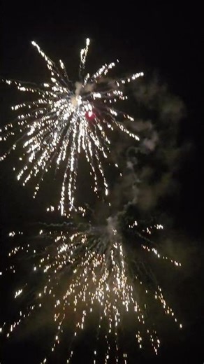 Panda Mr Big Raketen #fireworks #pyro #feuerwerk #silvester