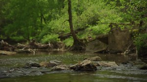 Our 90 Acre Campus - Potomac School