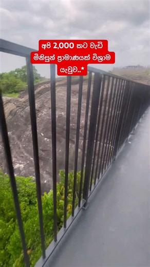 ඔබ දන්නවාද?පුංචි අදසකින් උනත් විශ්‍රාම යන්න පුලුවන් බව# financial freedom#srilanka #money #shorts