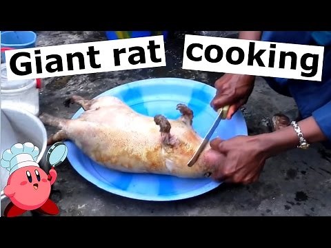 How to cook grasscutter giant rat and eat it.