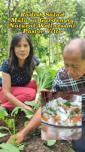 3.2K views · 47 reactions | Radish salad 6-8 small radish 3 tomato 8-10 kalamansi 2 red onion 1/2 small onion Spring onion 1 tbs sugar 1 tsp salt 1 tsp apple cider 1 tap sesame oil 2 tbs honey #naturalwellnessnipastorvitto #health #healthtips #fypシ゚ #healthylifestyle #naturalremedy #herbal #plant #radish #salad #alonavitto | Mrs. Alona Vitto | Facebook