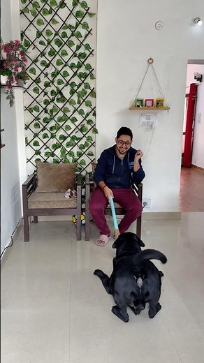 Lucky Is The Cutest Baccha❤️ #doglover #trending #dog