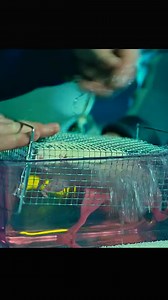 2.9M views · 47K reactions | #moviereview #movieclips | MovieThon | Facebook