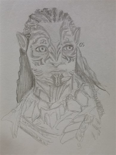 Complete Family Portraits of Avatar Characters