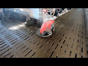 Robot Manure Scrapers at Work
