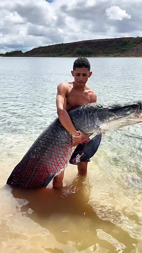 Pirarucu: Sabor do Nordeste na sua Mesa