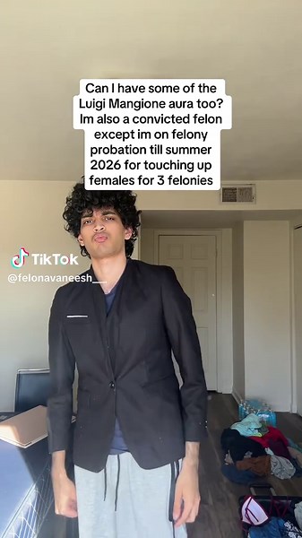 Avaneesh Kanala: Understanding Felony Charges in Florida