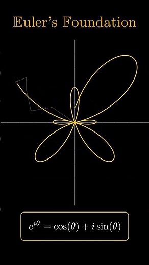 Euler's Foundation Explained | Butterfly Curve with Fourier Series #maths #shorts