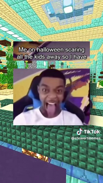 stewertmemes on TikTok