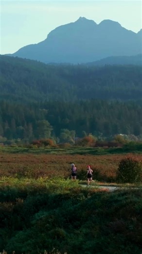 Are you a recreation seeker? Love a good trail, tasty bite, or thrill with a view? We’ve got your next adventure ⛰️ 🚴‍♂️Ride trails that go hard 🥾Hike where the wild things are 🎣Cast a line, catch a vibe 🍔 Eat. Sip. Repeat. 🌳 Play bold—because boring isn’t the vibe 📍Maple Ridge is where rec meets wild. Start exploring → MapleRidge.ca/Explore #TourismTuesday #BoldByNature #VisitMapleRidge #ExploreMapleRidge #MapleRidge | City of Maple Ridge