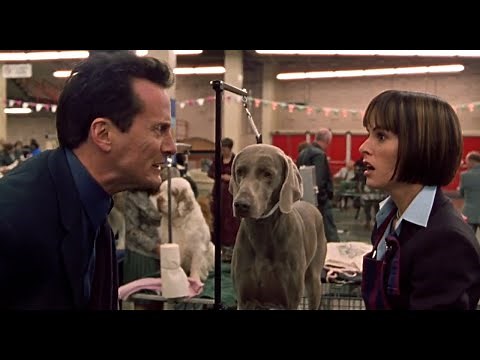 Best In Show (2000) The Busy Bee Situation