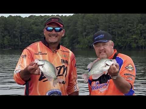 Illinois Summer Crappie | BrushPile Fishing | S03 E02