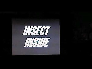 The powerpuff girls : Insect inside episode title card