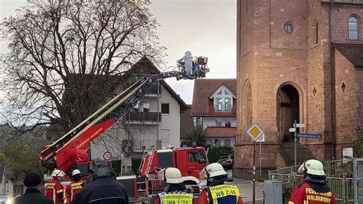 Mann nach Hornissen-Angriff in Waldbronn in kritischem Zustand