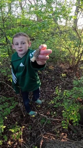 Morel Mushroom Hunting 2026 #survival